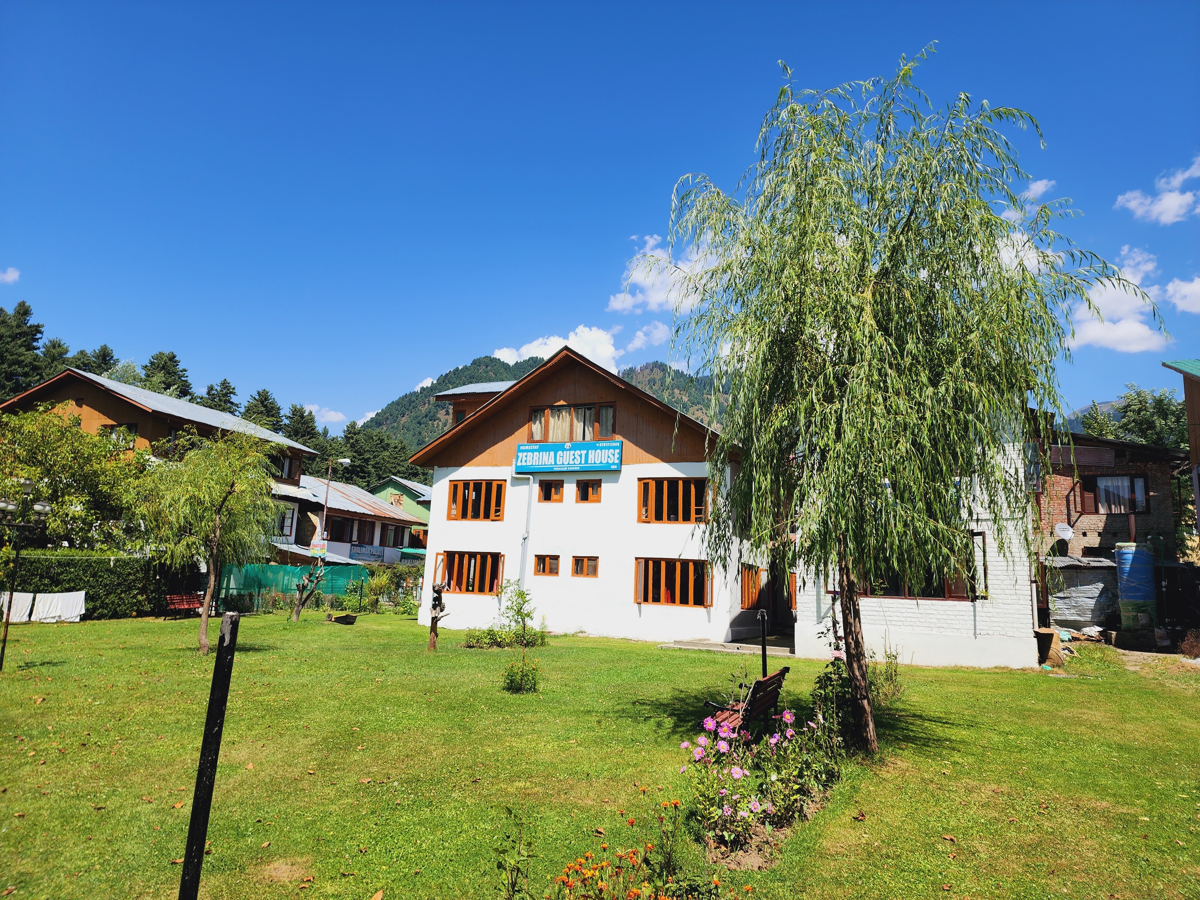 Zebrina Pahalgam.