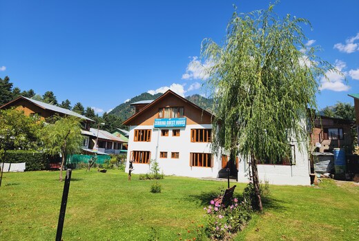 Zebrina Pahalgam.