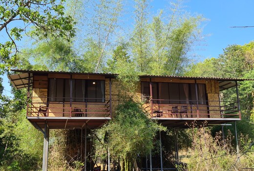 Deep Jungle Home