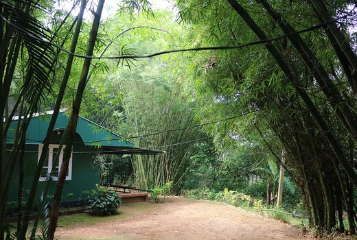 Verdant Hillock Cottage