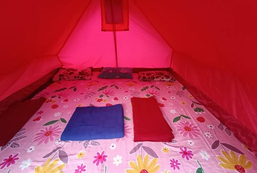 Northwing Camp