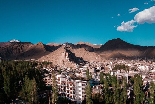 Tsokar Retreat Leh (2 Minutes to Main Market)