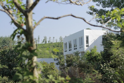 Spicewood Farm Stay