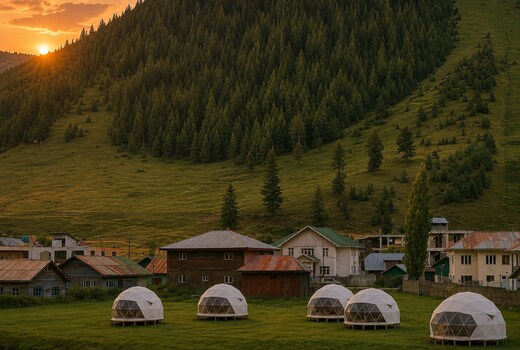 The Cocoon