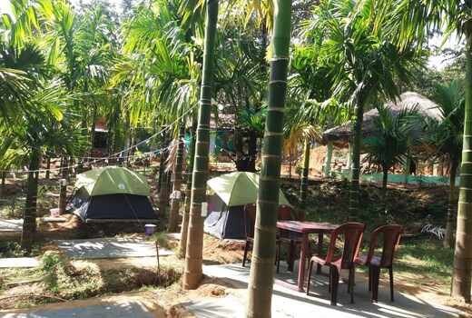 Jungle Joy Homestay
