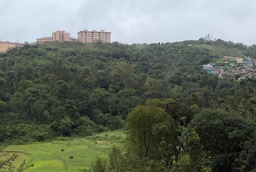 Mistiva Coorg Scenic 2BHK with Valley Views.