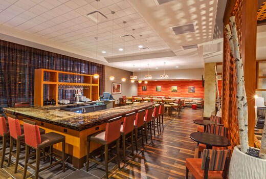 Hampton Inn by Hilton Houston Downtown