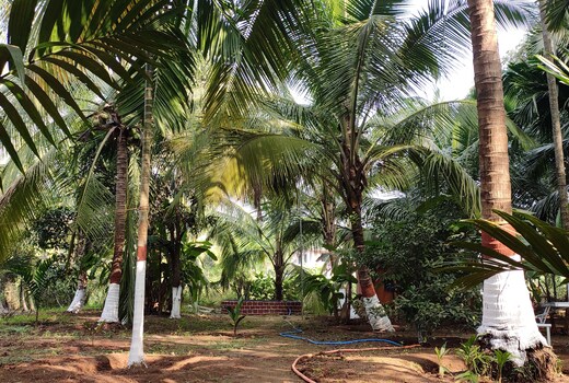 Vanashree cottage , Akshi alibaug (max 15 ppl )
