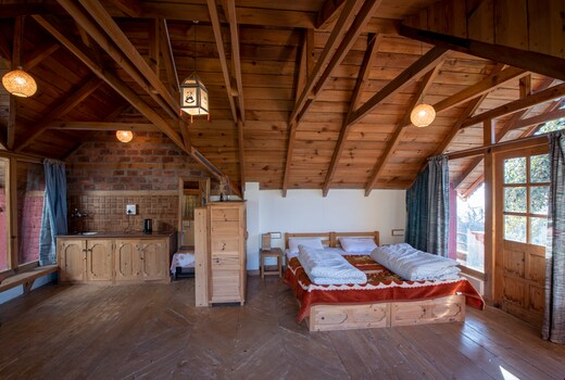 Mountain View Room With Terrace Near Dharamshala