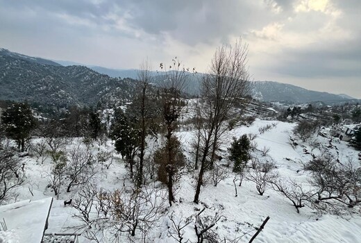 Himalayan Soulhomestay