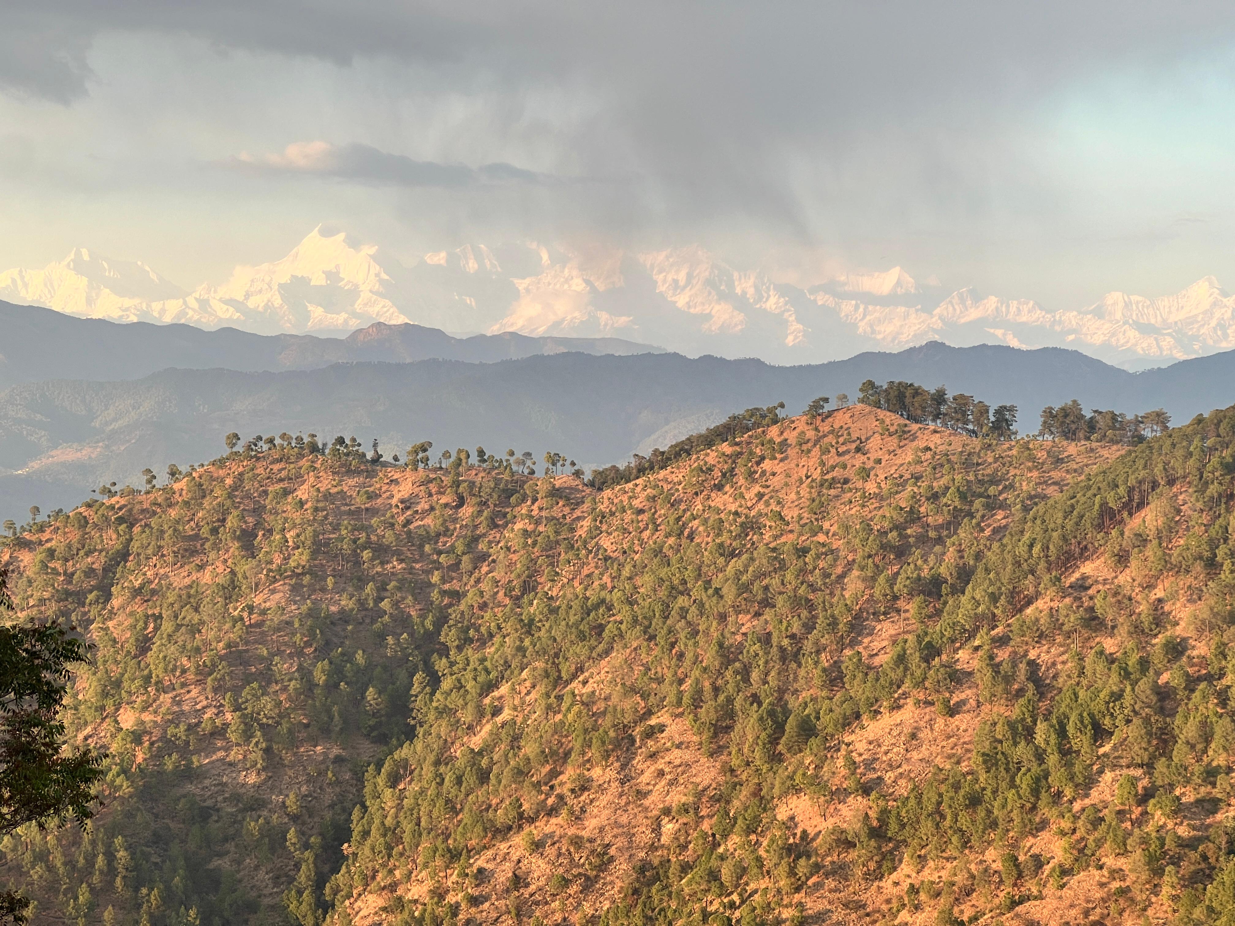 Magnum Vista