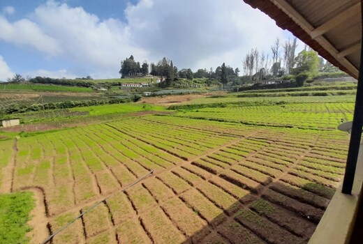 Farm House - Upasana