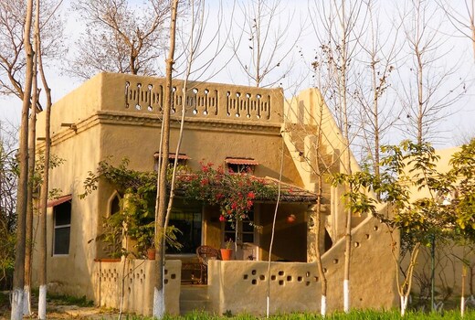 Punjab Village Farm near Amritsar