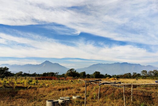 Village Homestay