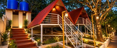 Hill forest Yelagiri