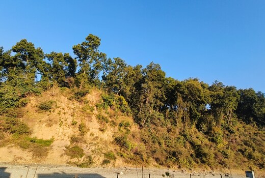 Shivoham Homestay IMA Subharti