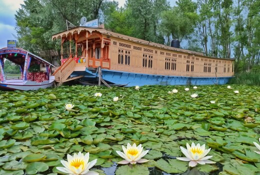New Bul Bul Houseboat Dal Lake
