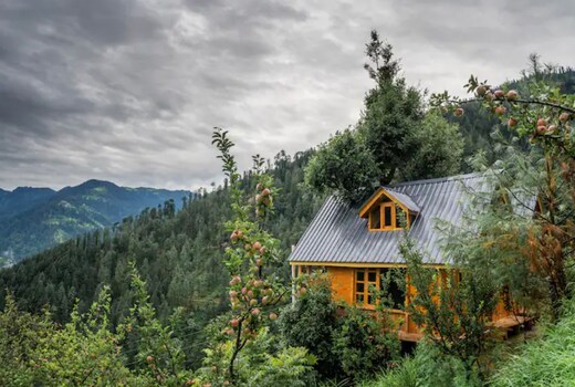 THE TREE HOUSE JIBHI,Swastika Aashiyana