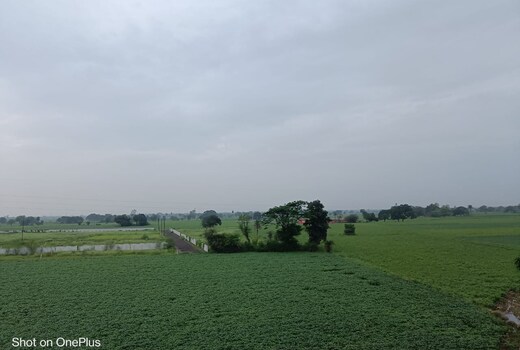 Mahakal hotel and restaurant