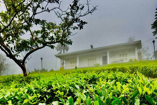 Four Winds Plantations Homestay
