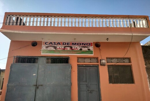 Casa De Mono