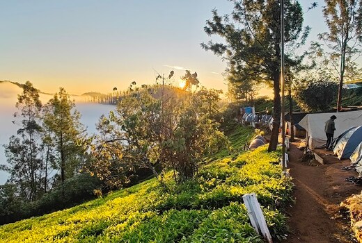 Janardan Resort Ooty
