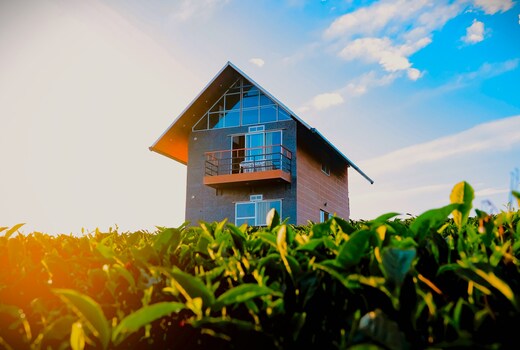 Cloud Canopy Vagamon-Tea Garden Pool Resort in Vagamon