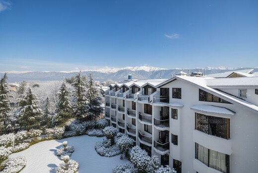Paradise Premium Luxury Boutique Hotel (Dal Lake)