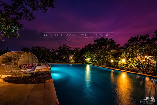 Tooth Mountain Farms | Rooms & Suites