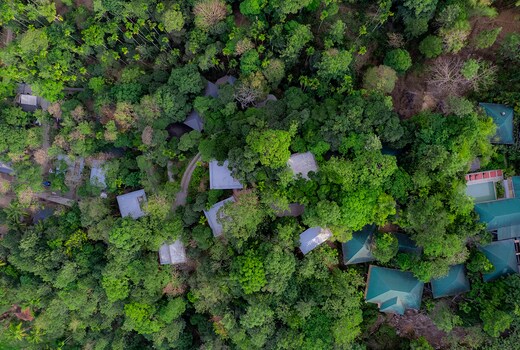 The Hive Wayanad