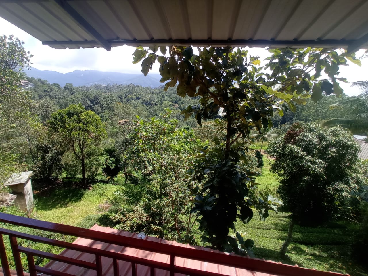 Monte Sereno