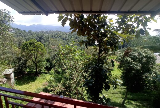 Monte Sereno