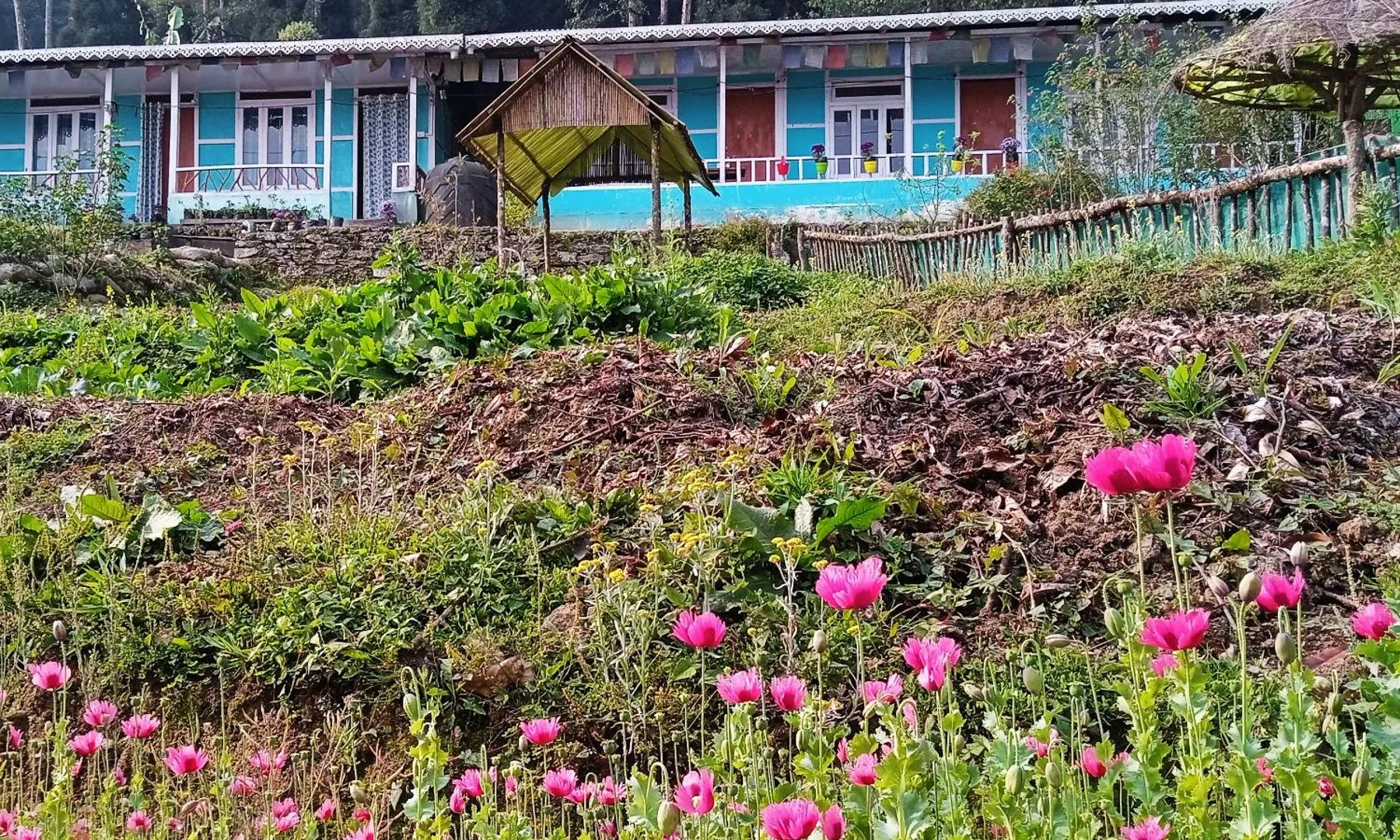 KAFAL HOMESTAY
