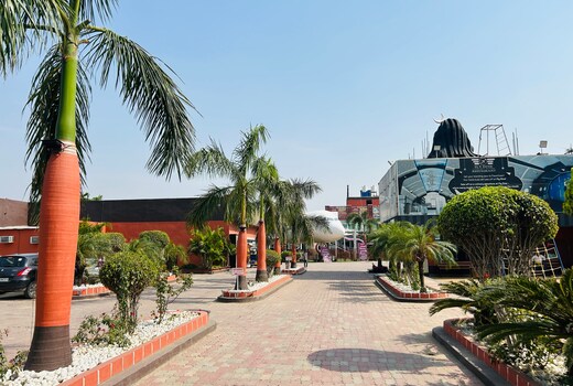 Main gallery