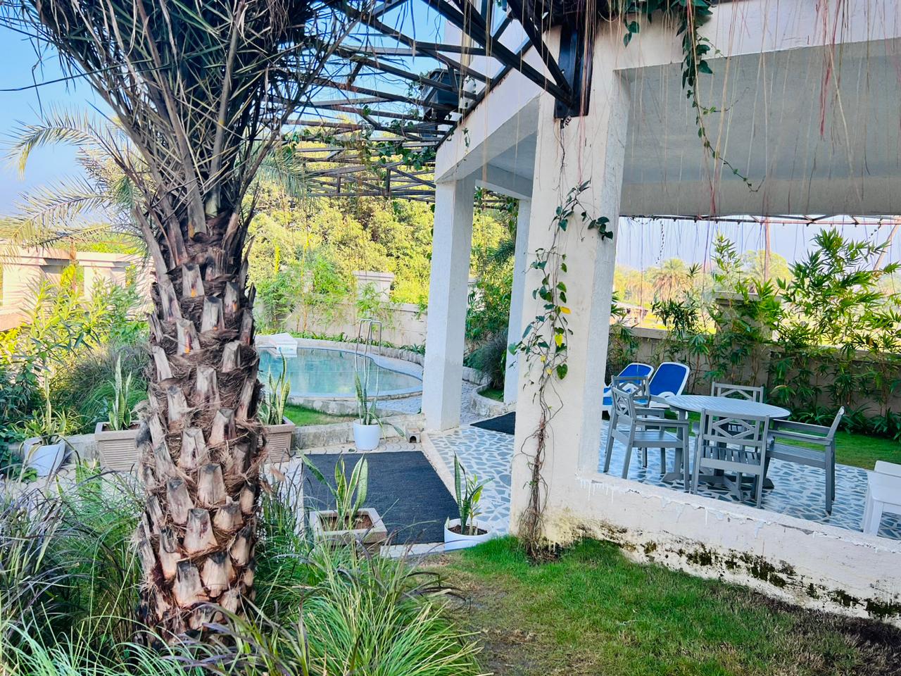 Villa Nest
