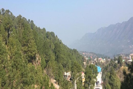 Daffy Alone- 3BHK Apartment