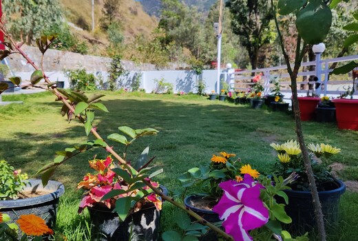 Savi Homestay