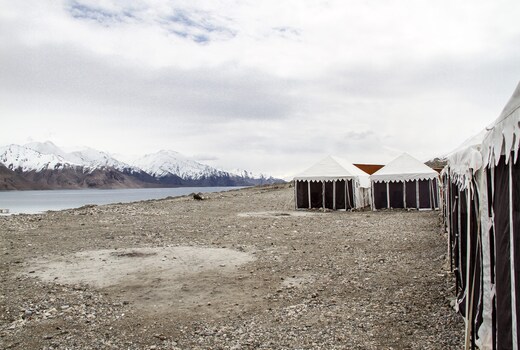 Wild Camp Pangong