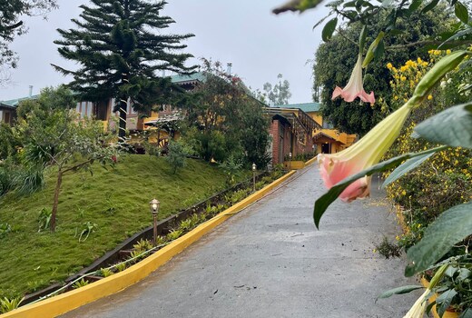 Habba Kadal Kashmiri Heritage Hotel