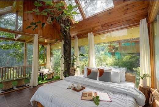 Glass Treehouse Tandi Village