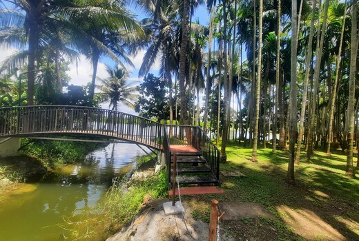 Cosmic Connect Trails Kabini Wellness Resorts