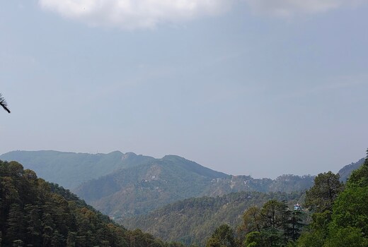 Tree View