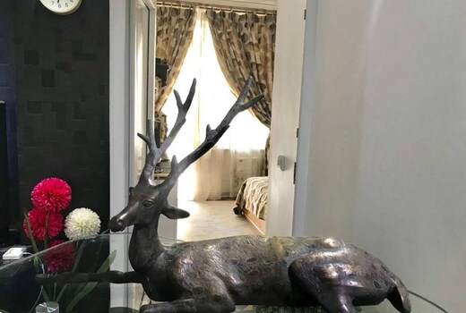 Ardee City Apartment