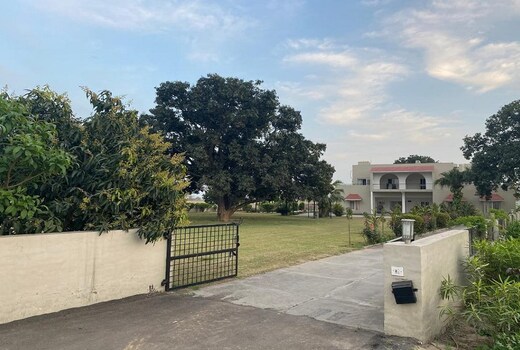 MangoGrove