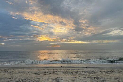 Rajasbasera Beach Homestay