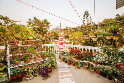 Madhumita's Homestay | Rooms & Terrace