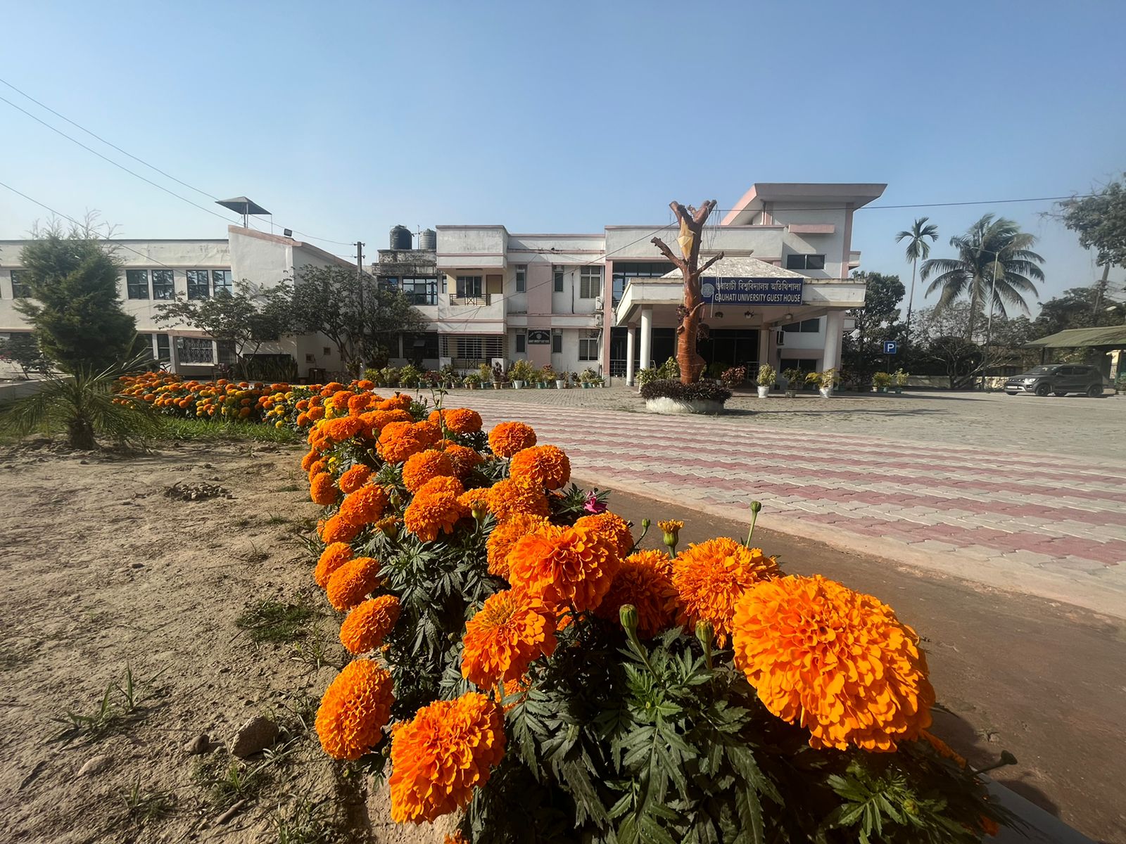 GUWAHATI UNIVERSITY