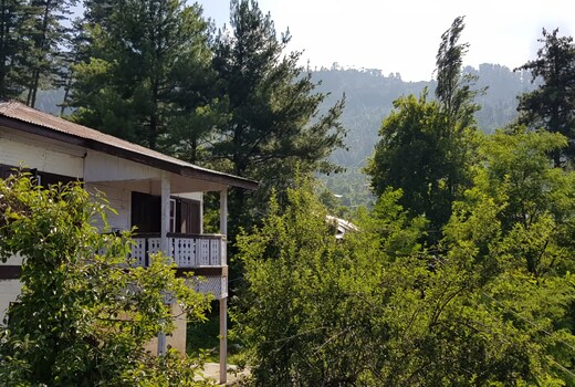 Patnitop Heights Hill Cottage