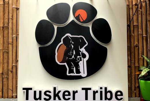 Tusker Tribe Mysore