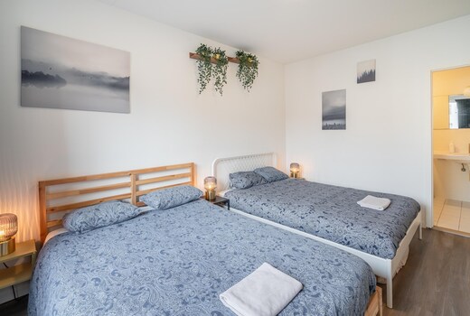 Non smoking 1-bedroom apartment